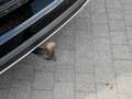 Ford Focus Wagon Active Style 1.0 EcoBoost Hybrid 155pk WINTE Noir - thumbnail 15