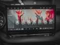 Skoda Octavia Combi SPORTLINE 1.5 eTSI DSG PANO CANTON 360 SH... Grau - thumbnail 31