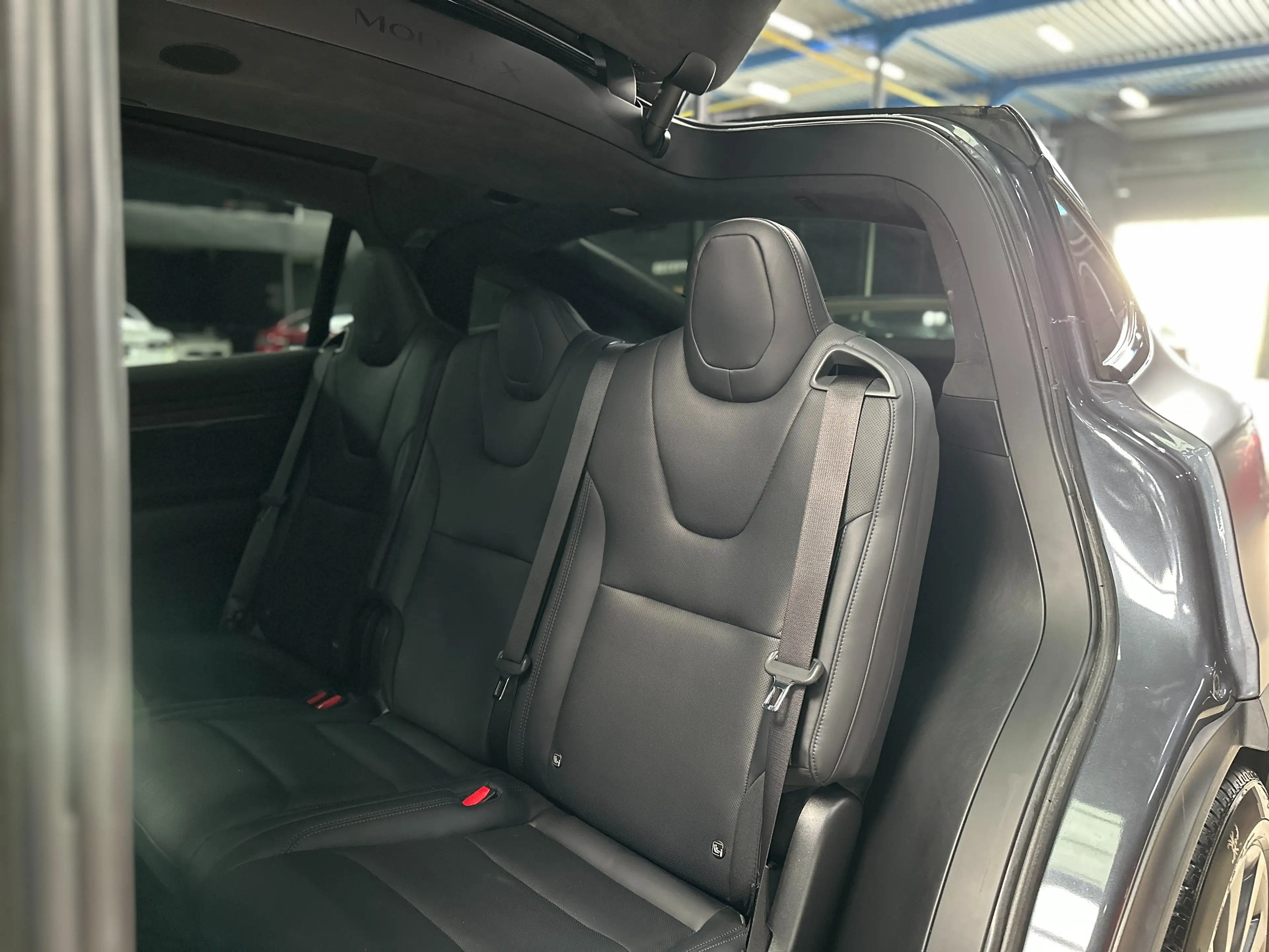 Tesla Model X FULL SELF DRIVING - FULL MATTE PAINT PROTECTION — photo 15