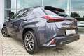 Lexus UX 300h UX 300h F SPORT Design Grau - thumbnail 6