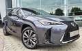 Lexus UX 300h UX 300h F SPORT Design Grau - thumbnail 2
