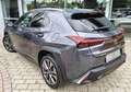 Lexus UX 300h UX 300h F SPORT Design Grau - thumbnail 5
