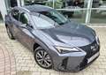 Lexus UX 300h UX 300h F SPORT Design Grau - thumbnail 4