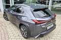 Lexus UX 300h UX 300h F SPORT Design Grau - thumbnail 7
