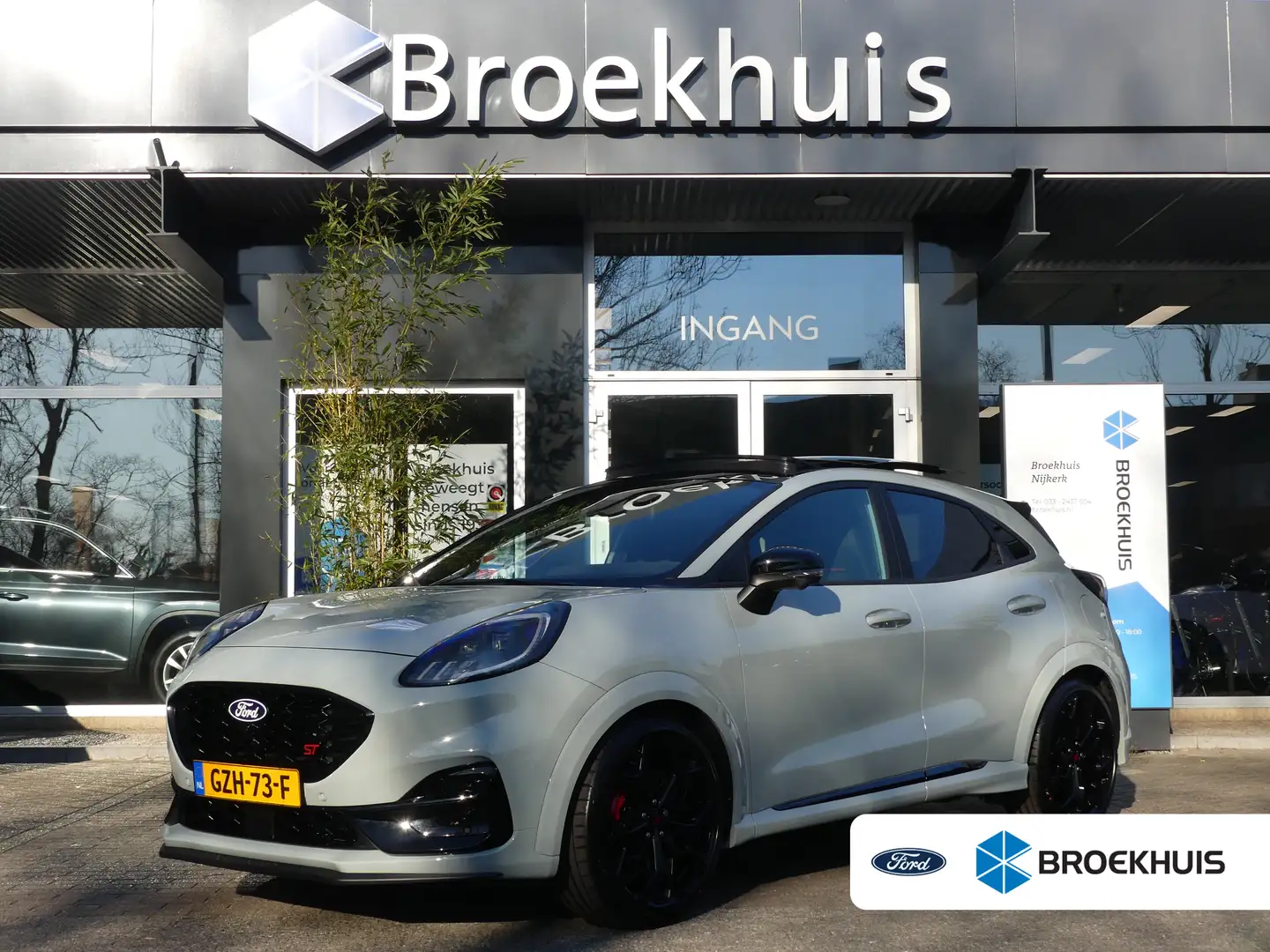 Ford Puma 1.0 EcoBoost Hybrid 170PK ST | PANORAMADAK | PERFO Gris - 1
