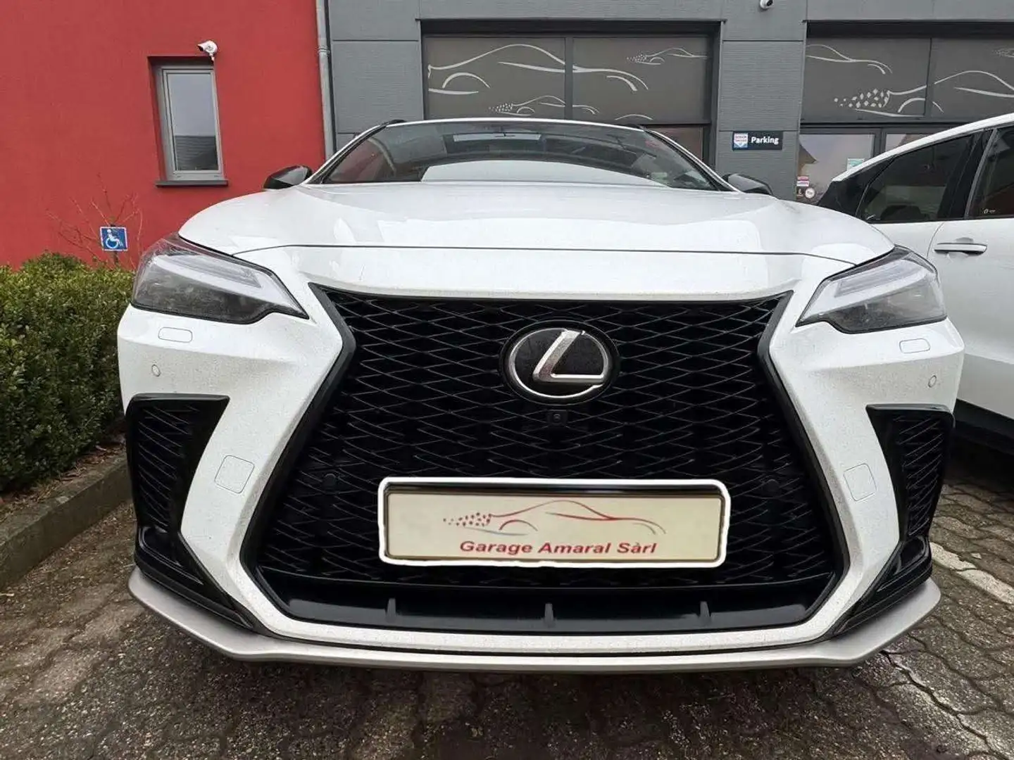 Lexus NX 450h+ 450H PREV F-SPORT LINE Blanco - 1
