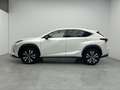 Lexus NX 300h 2.5 PREMIUM 2WD AUTO 197CV 5P Weiß - thumbnail 4