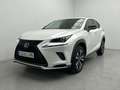 Lexus NX 300h 2.5 PREMIUM 2WD AUTO 197CV 5P Weiß - thumbnail 1