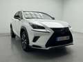 Lexus NX 300h 2.5 PREMIUM 2WD AUTO 197CV 5P Weiß - thumbnail 9