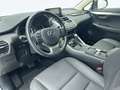 Lexus NX 300h 2.5 PREMIUM 2WD AUTO 197CV 5P Weiß - thumbnail 21