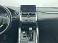 Lexus NX 300h 2.5 PREMIUM 2WD AUTO 197CV 5P Weiß - thumbnail 17