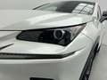 Lexus NX 300h 2.5 PREMIUM 2WD AUTO 197CV 5P Weiß - thumbnail 6