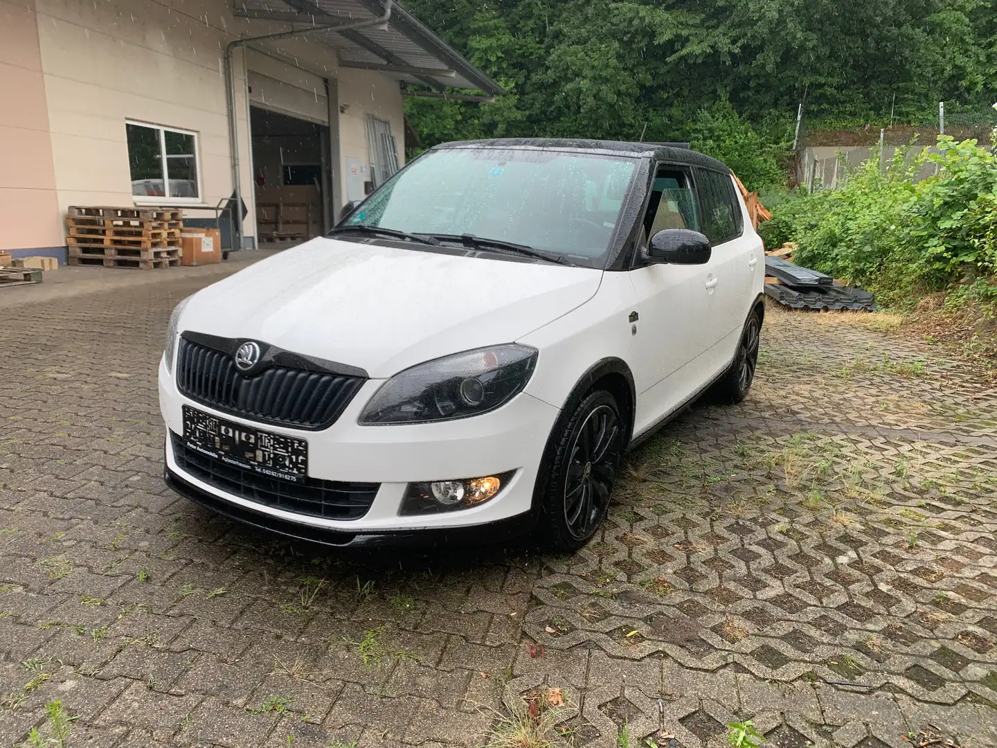 Skoda Fabia Monte Carlo*PDC*SHZ*TPM*BC* Weiß - 2