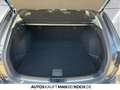 Mazda 6 2023 2.0L SKY- G 15ps AT FWD CENTER-LINE Navi Grau - thumbnail 15
