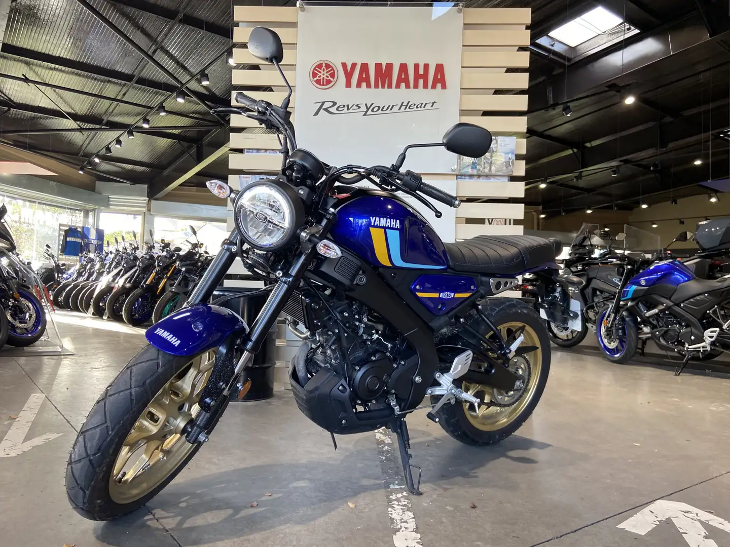 Yamaha XSR 125 Bleu - 1
