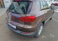 Volkswagen Tiguan II 2.0 TDi 16V 4Motion 170 cv Sport Line Toit ouvant Pano - thumbnail 7
