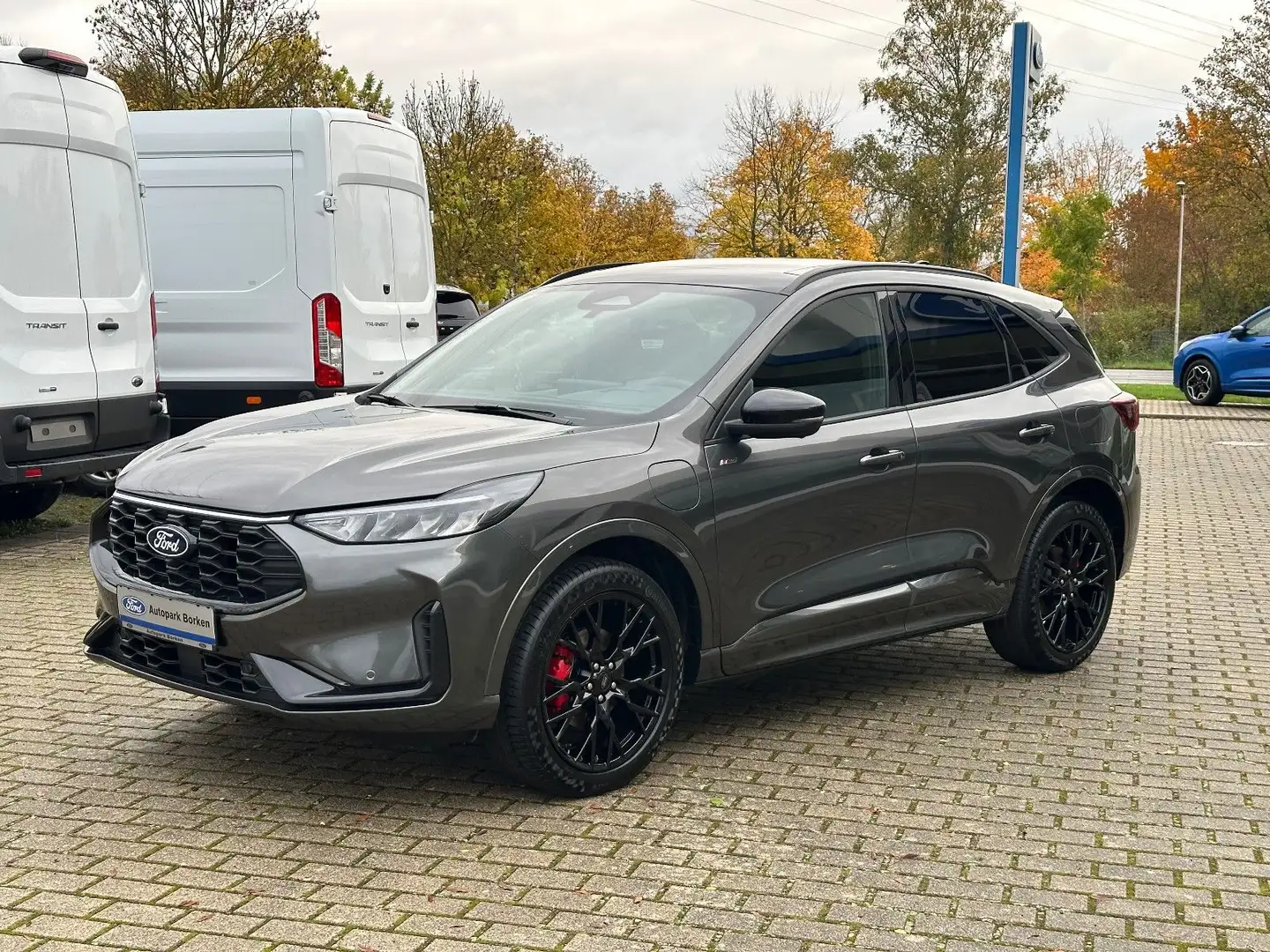 Ford Kuga Plug-In Hybrid ST-Line X Black Package PANO Grau - 1