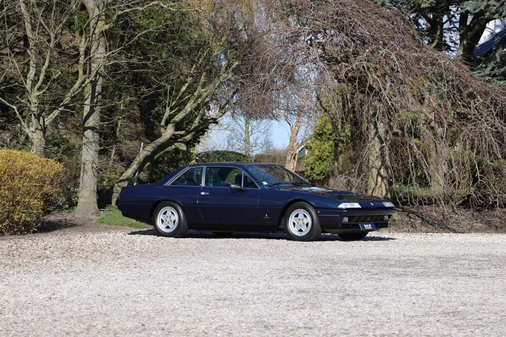 Ferrari 412 GT Blau - 1