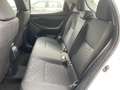 Toyota Yaris Yaris 1.5 Hybrid 5 porte Active PREZZO REALE Wit - thumbnail 16
