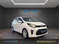 Kia Picanto 1,0 MPI Titan Weiß - thumbnail 3