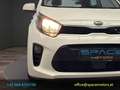 Kia Picanto 1,0 MPI Titan Weiß - thumbnail 4