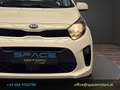 Kia Picanto 1,0 MPI Titan Weiß - thumbnail 10