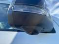 Ford Ranger Ranger Wildtrak e-4WD 2.3 EcoBoost El.Rollo, 5 ... Weiß - thumbnail 36