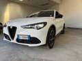 Alfa Romeo Stelvio Stelvio 2023 2.2 t Veloce Q4 210cv auto Bianco - thumbnail 1