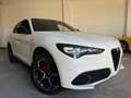 Alfa Romeo Stelvio Stelvio 2023 2.2 t Veloce Q4 210cv auto Bianco - thumbnail 5