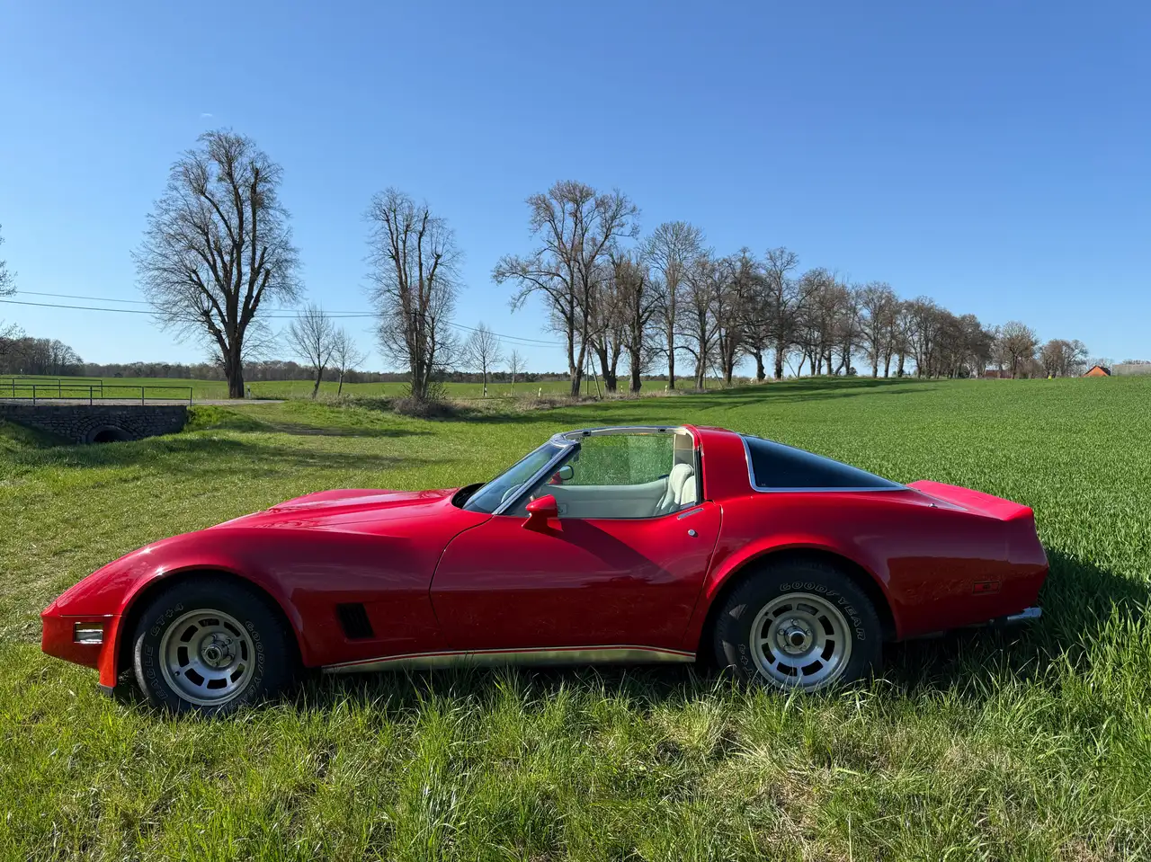 Corvette C3 5.7 V8 Automatic, foto 2