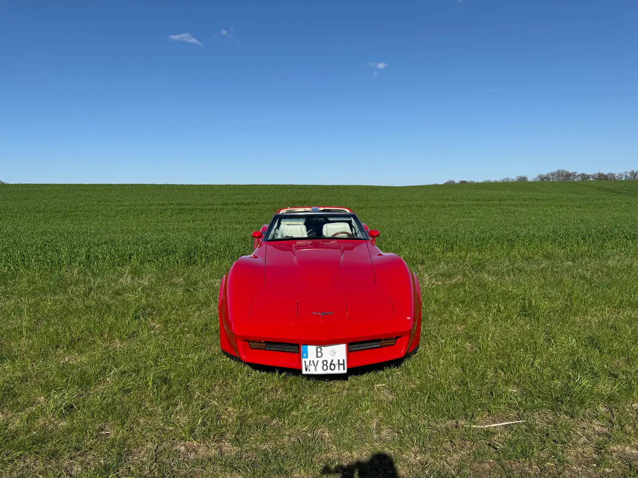 Corvette C3 5.7 V8 Automatic, foto 3