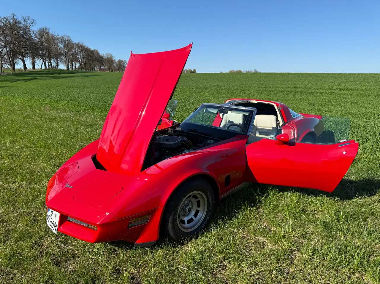 Corvette C3 5.7 V8 Automatic, foto 12