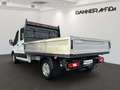 Ford Transit Pritsche 130PS Diesel/2.0l EcoBlue L3H2... Weiß - thumbnail 5