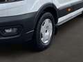 Ford Transit Pritsche 130PS Diesel/2.0l EcoBlue L3H2... Weiß - thumbnail 7