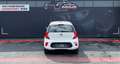 Kia Picanto Edition 7 ServiceNeu*Garantie*21500km* Weiß - thumbnail 6