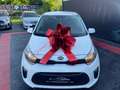 Kia Picanto Edition 7 ServiceNeu*Garantie*21500km* Weiß - thumbnail 10