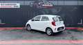 Kia Picanto Edition 7 ServiceNeu*Garantie*21500km* Weiß - thumbnail 7