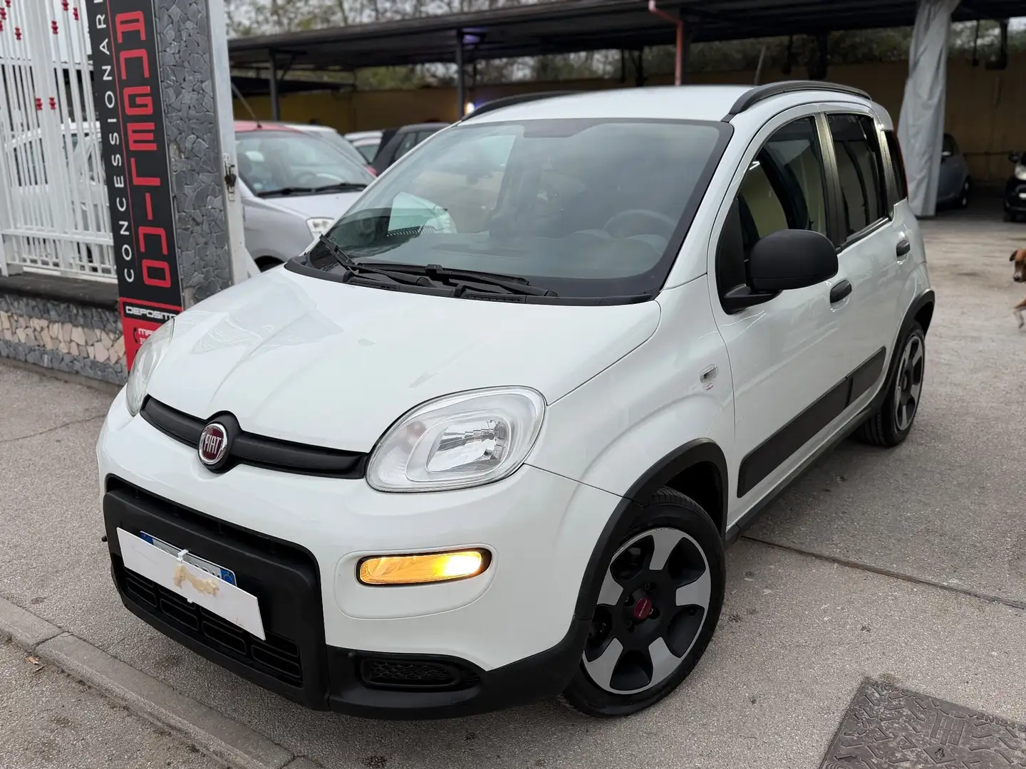 Fiat Panda Panda 1.2 EasyPower City Cross Blanc - 1