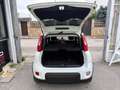 Fiat Panda Panda 1.2 EasyPower City Cross Blanc - thumbnail 10