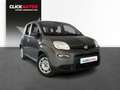 Fiat Panda 1.0 70CV Hybrid Gris - thumbnail 3