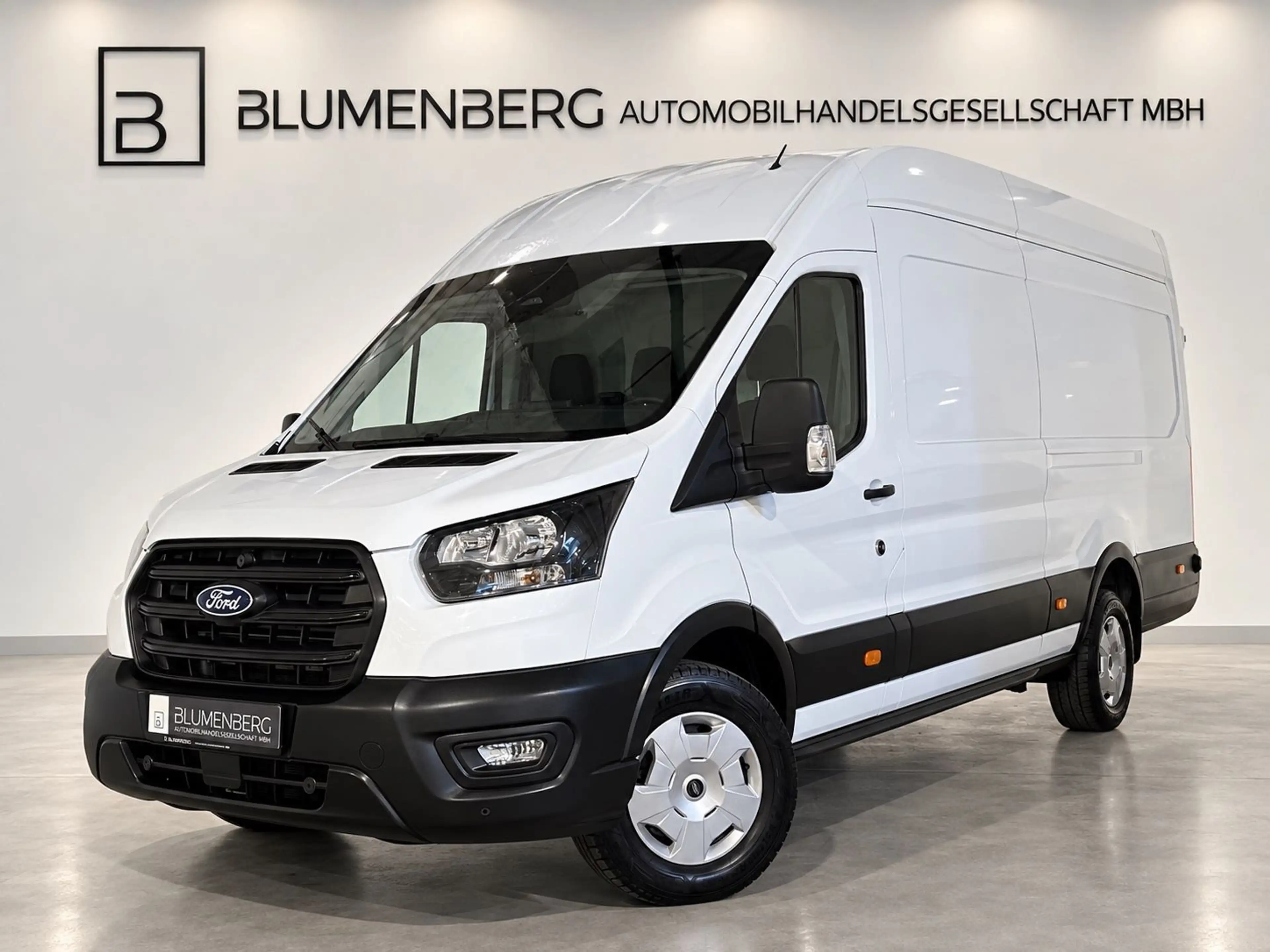 Ford Transit Kasten 350 L4H3 Trend *Virtual,Kamera*