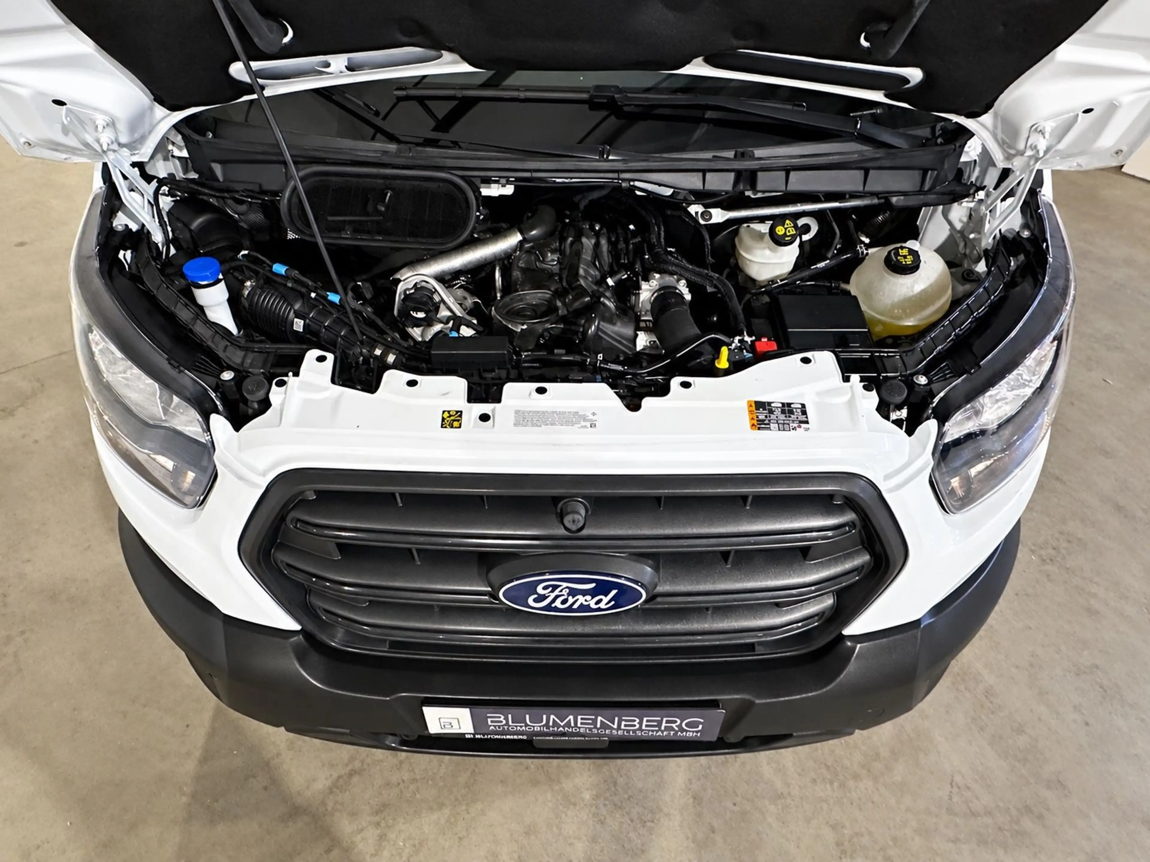 Ford Transit Kasten 350 L4H3 Trend *Virtual,Kamera* — photo 6