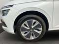 Skoda Kamiq Selection 1.5 TSI DSG Panoramadach Weiß - thumbnail 3