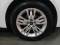 Ford Focus 1.6TDCi Sport 115 Blanco - thumbnail 29