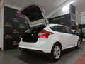 Ford Focus 1.6TDCi Sport 115 Blanco - thumbnail 8