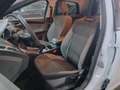 Ford Focus 1.6TDCi Sport 115 Blanco - thumbnail 11