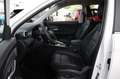 MG ZS 1.5 Hybrid+ Luxury 360°Navi,Totwinkel SOFORT Weiß - thumbnail 12