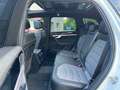 Volkswagen Touareg R-Line *MATRIX*PANO*DYNAUDIO*AHK*4Motion Weiß - thumbnail 15