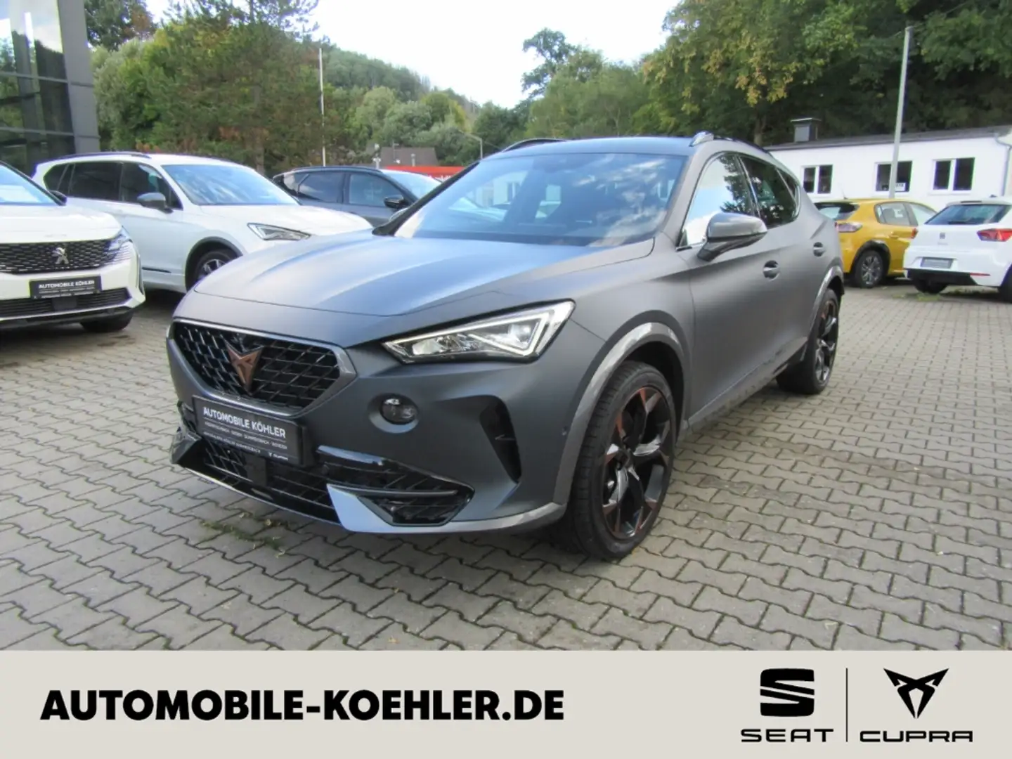 CUPRA Formentor VZ 2.0 TSI 245 PS 7-Gang-DSG Matt Grau Gris - 1