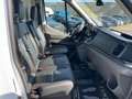 Ford Transit  Kasten 2,0 EcoBlue AWD L2H2 350 Trail Weiß - thumbnail 10